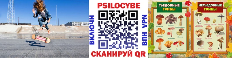 Псилоцибиновые грибы мицелий  Тосно 
