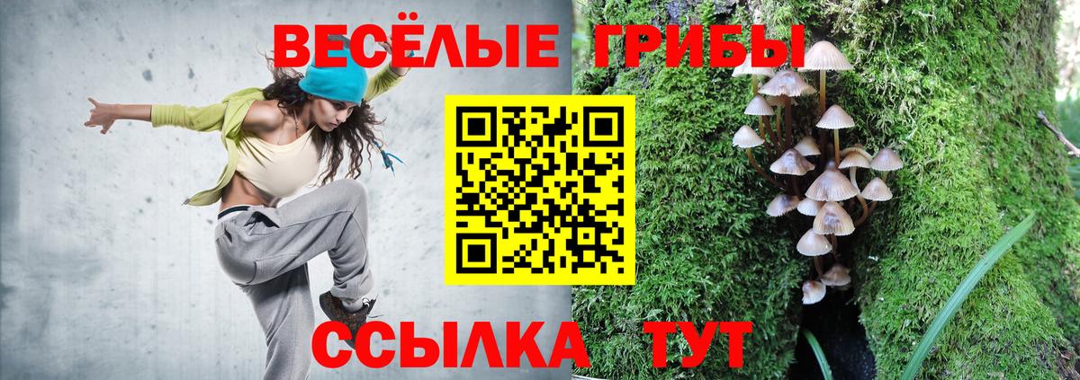 Галлюциногенные грибы Psilocybine cubensis Тосно