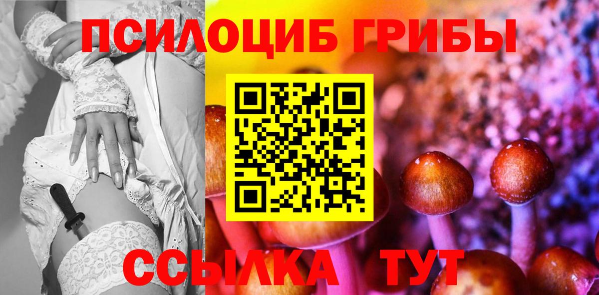 Тосно  магазин    Вход с VPN  Галлюциногенные грибы прущие грибы 